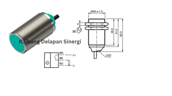 Sensor Pepperl Fuchs NBB10-30GM50-E2-Y